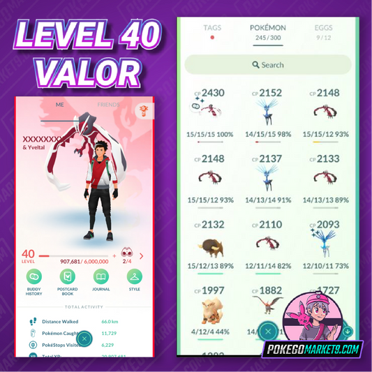 Level 40 Valor | Shiny Xerneas | Shundo 100% IV Shiny Yveltal | Shiny Riolu, Togetic, Goomy | #BA38